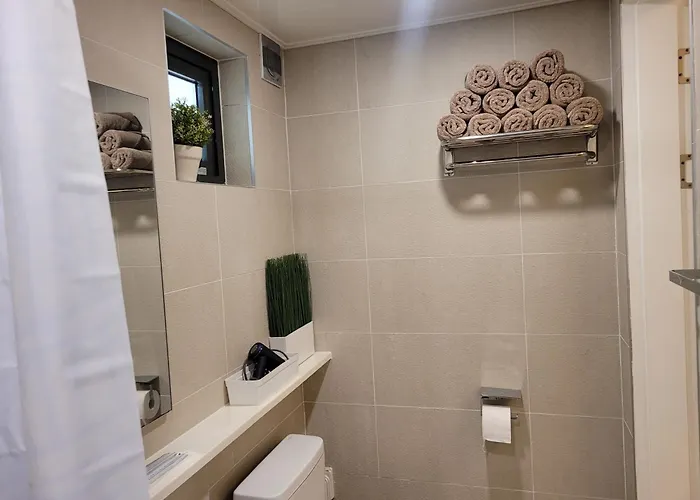 Villa & Hangang Park, 5 Min Walk From Konkuk University, Seongsu, Jayang Subway Stations, Licensed