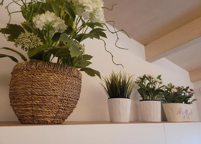 & Hangang Park, 5 Min Walk From Konkuk University, Seongsu, Jayang Subway Stations, Licensed